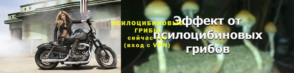 гидропоника Магас