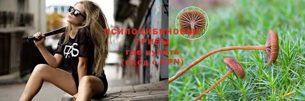 меф Майский