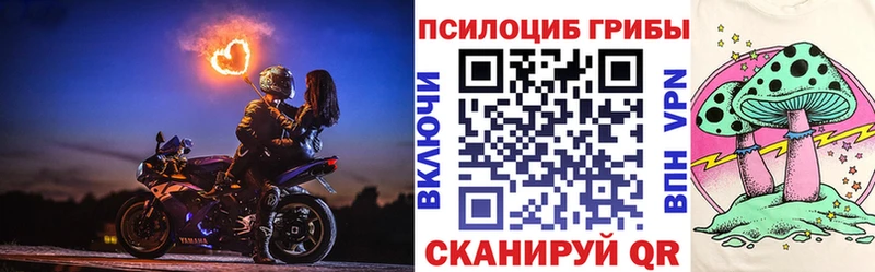 где можно купить наркотик  Петрозаводск  mega ССЫЛКА  Галлюциногенные грибы MAGIC MUSHROOMS 